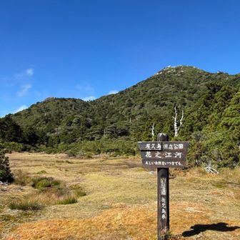 黒味岳でテンション上がって疲れも吹き飛んでたけど、我に帰ると足のダメージ深刻
アレを飲んで一踏ん張り😤
行きしの白い景色は何処へやら🤷
右奥が黒味岳