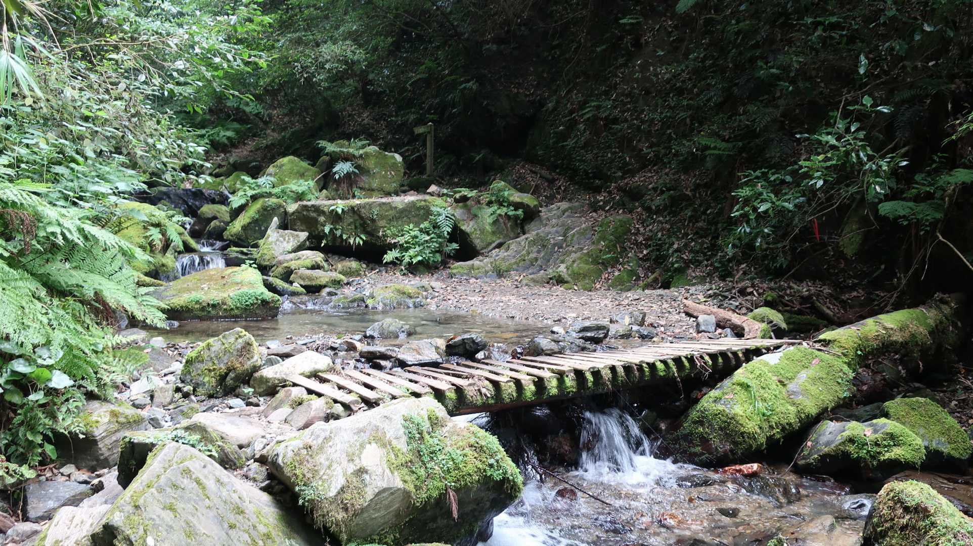 瑞梅寺登山口-井原山-水無登山口 周回コースの写真