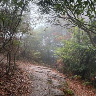 帰路の花崗岩ロード。