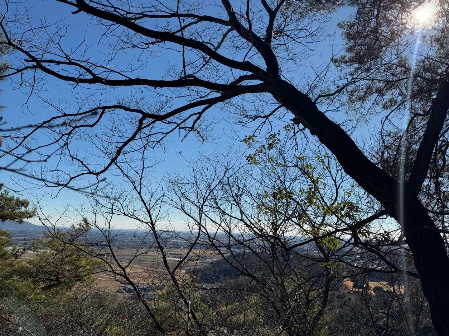 でもちょっと上がると絶景✨
