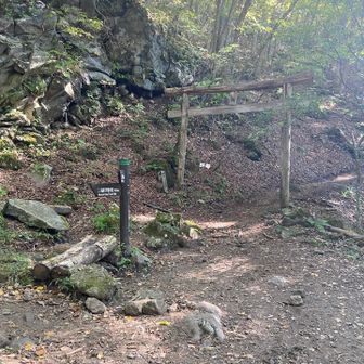 不動滝ルートじゃなくて、山道ルートを通って一の鳥居到着
不動の滝ルートの方が良かったかも