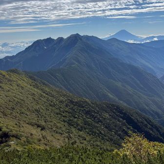 鳳凰三山、高嶺へと向かう早川尾根〜