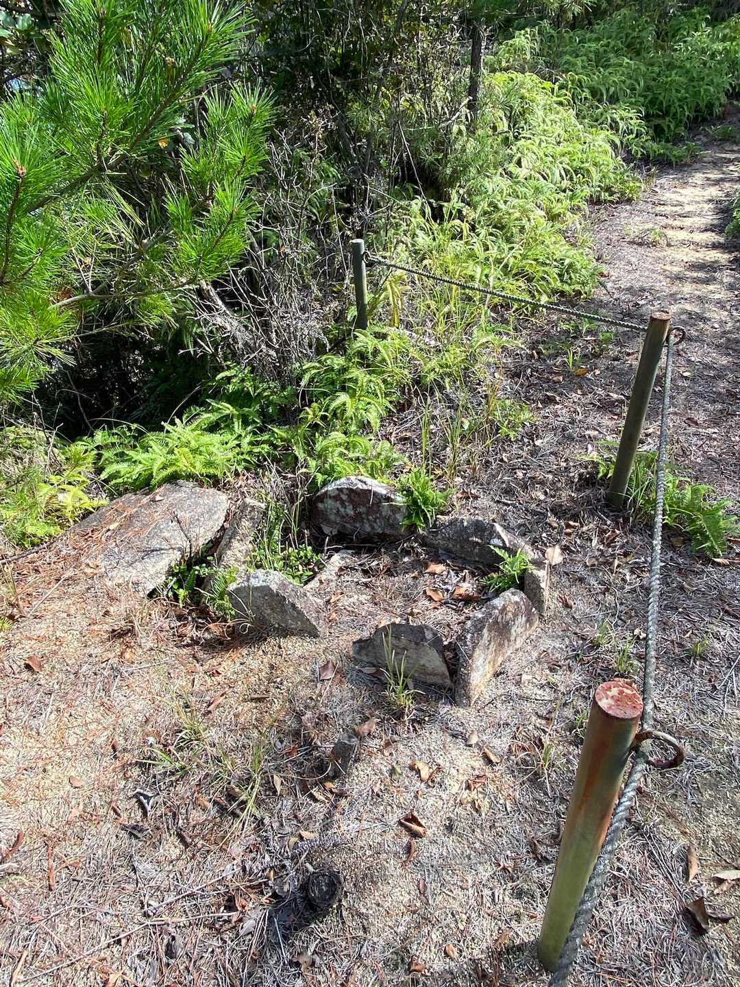 遺跡「金箱古墳群」