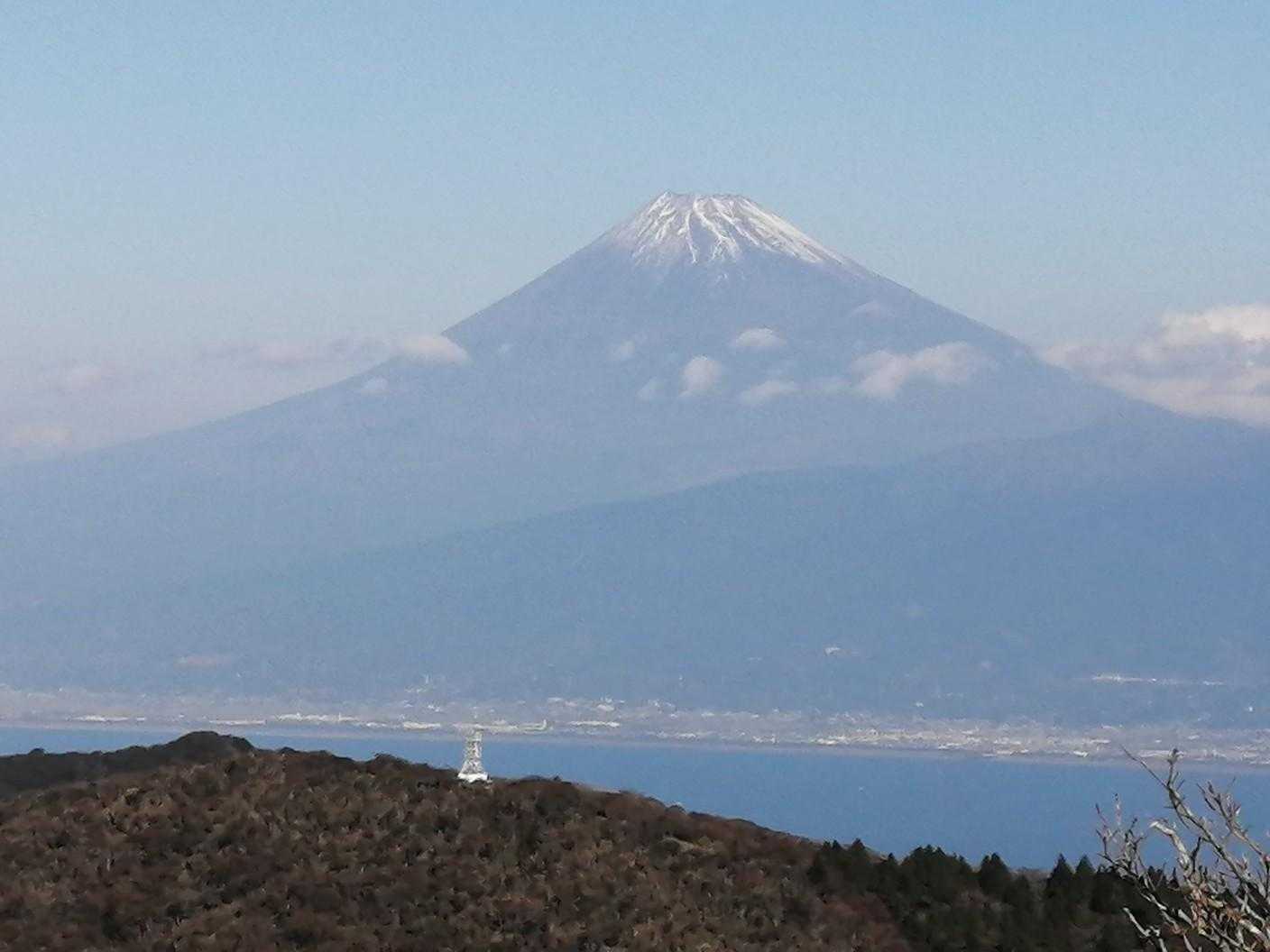 戸田峠-小達磨山-達磨山 往復コースの写真