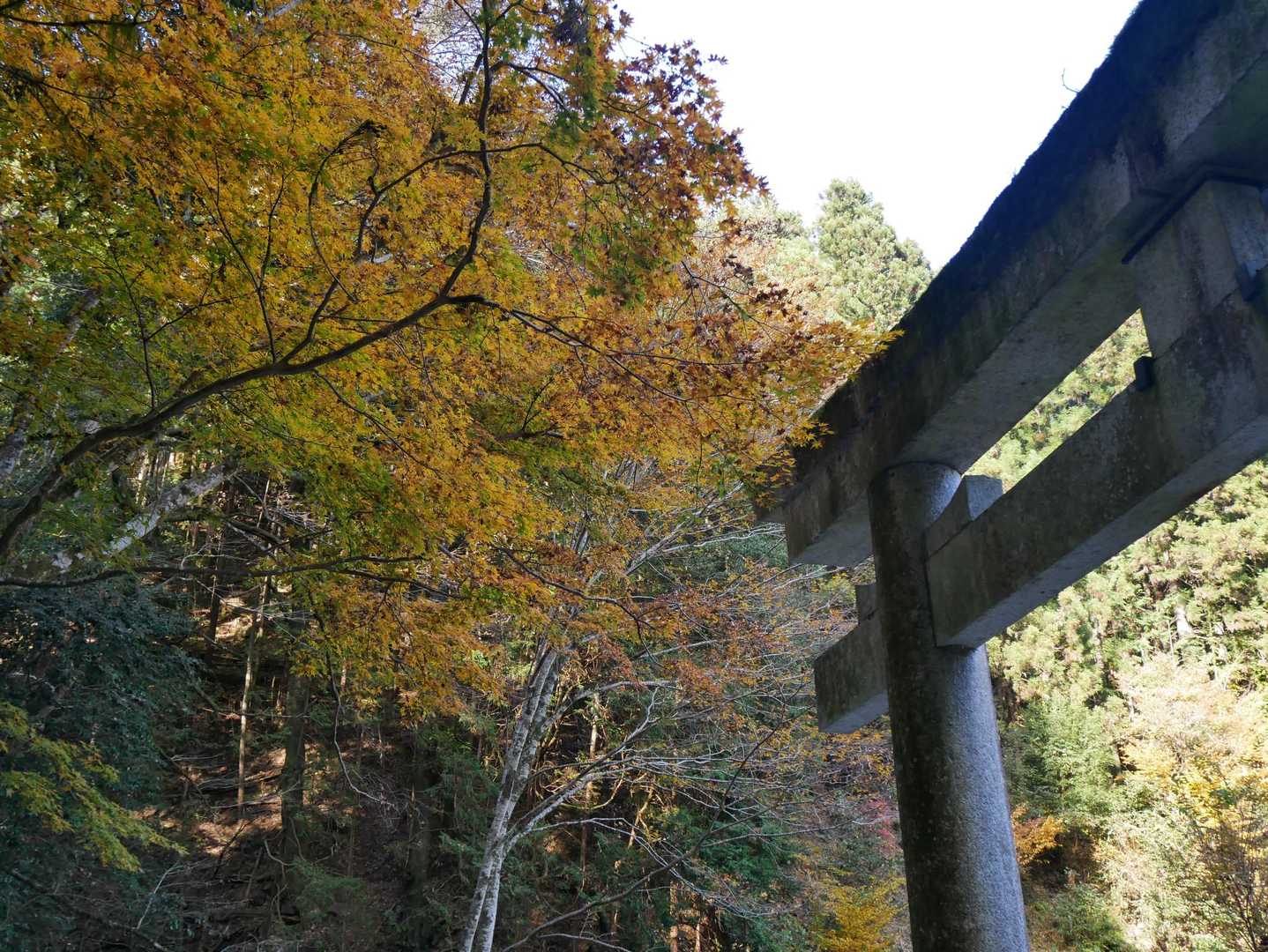 登山道入口。