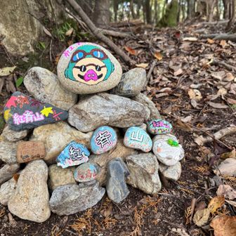 おしゃれなケルンですね🐢