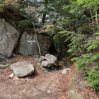 森に入ってから黙々と歩いてたら大日小屋に降りそうになってました😂
フジミの文字がありがたい