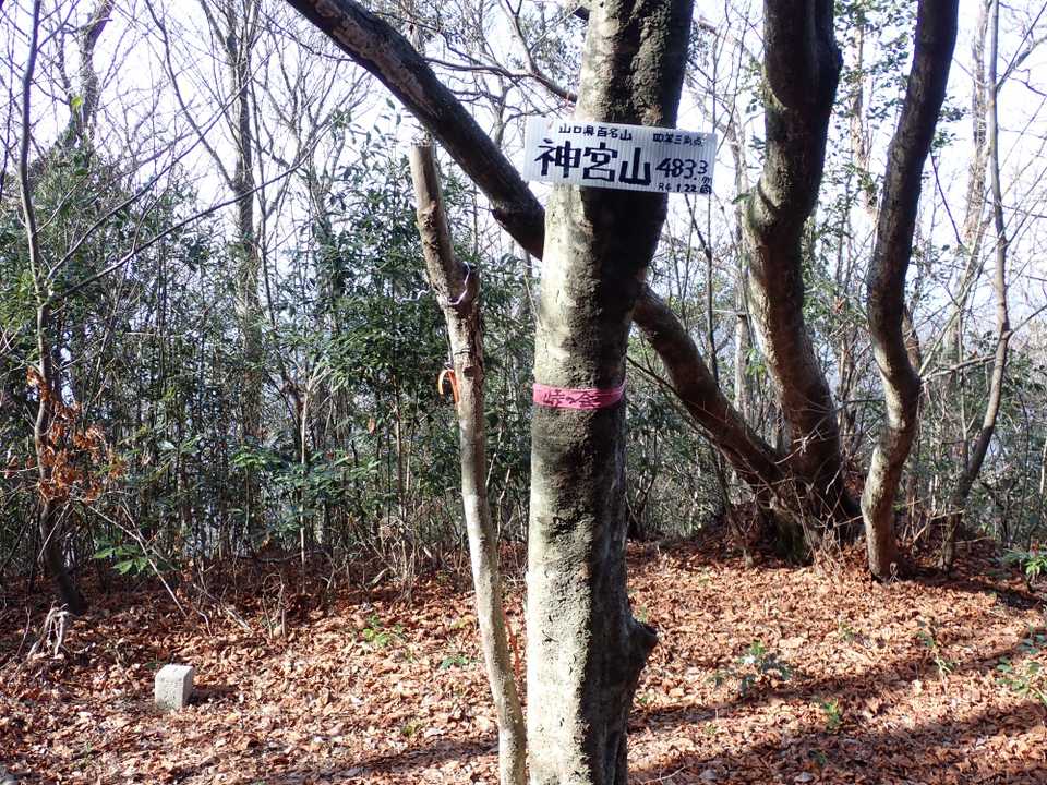 神宮山山頂　四等三角点