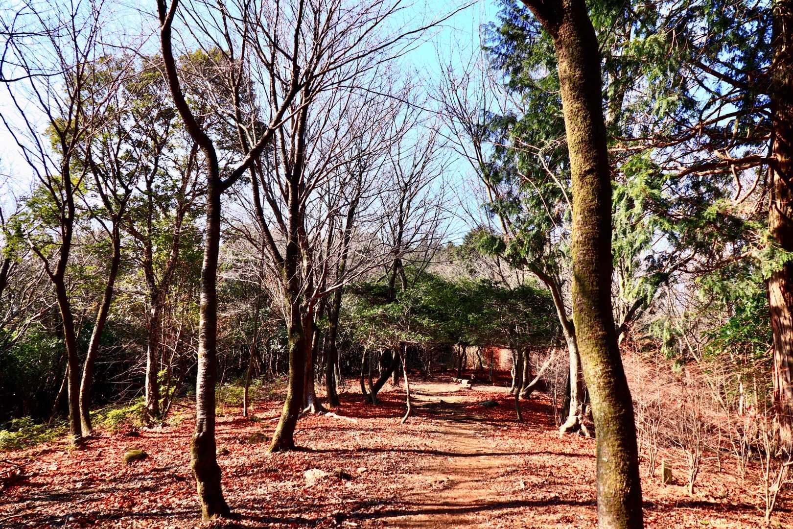 雲ヶ岳の山頂に着きました。思いのほか広いのでビックリ！　30年後の自分も、このくらい広い心でありたいな〜！