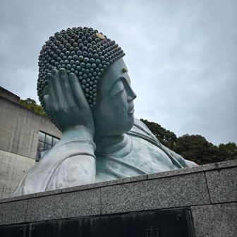 😳デカい😳