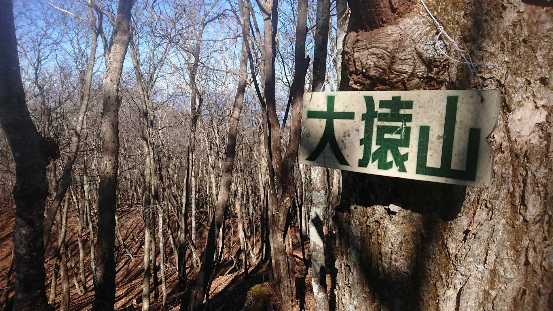 大猿山登頂