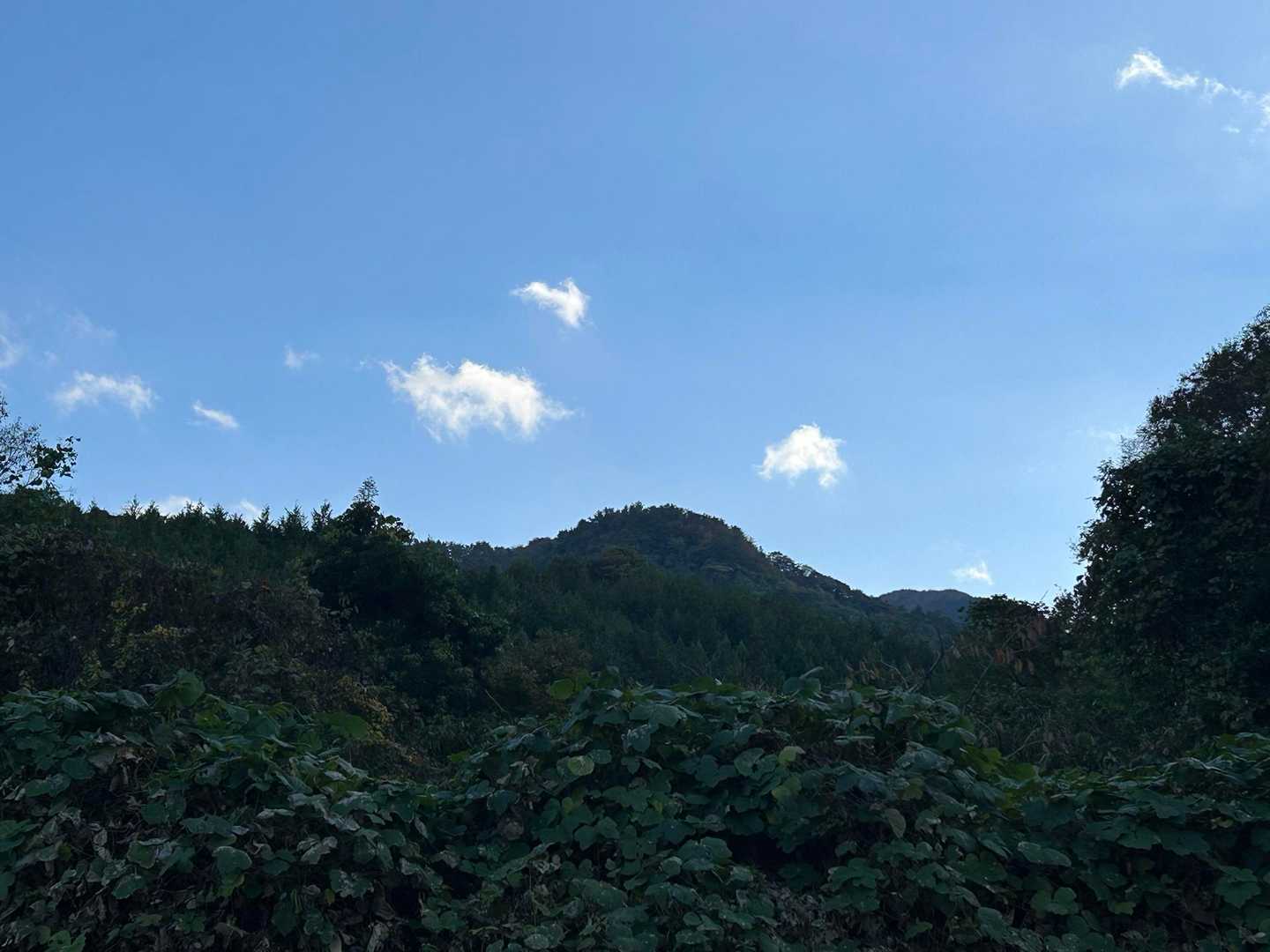 登山口から見る鷲峰山