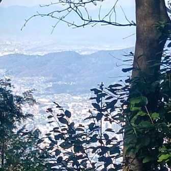 高塚山頂上
定点観測..
(此処で折り返す時は時間が無いか バテバテ💦の時です…)