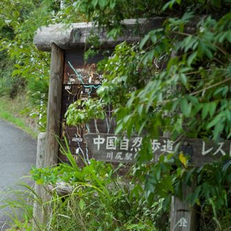 登山口
