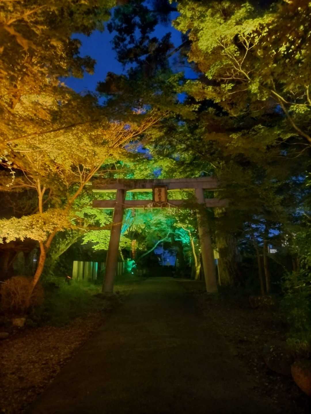 山のおもてなし｜箕面・東海自然歩道ハイキングの写真