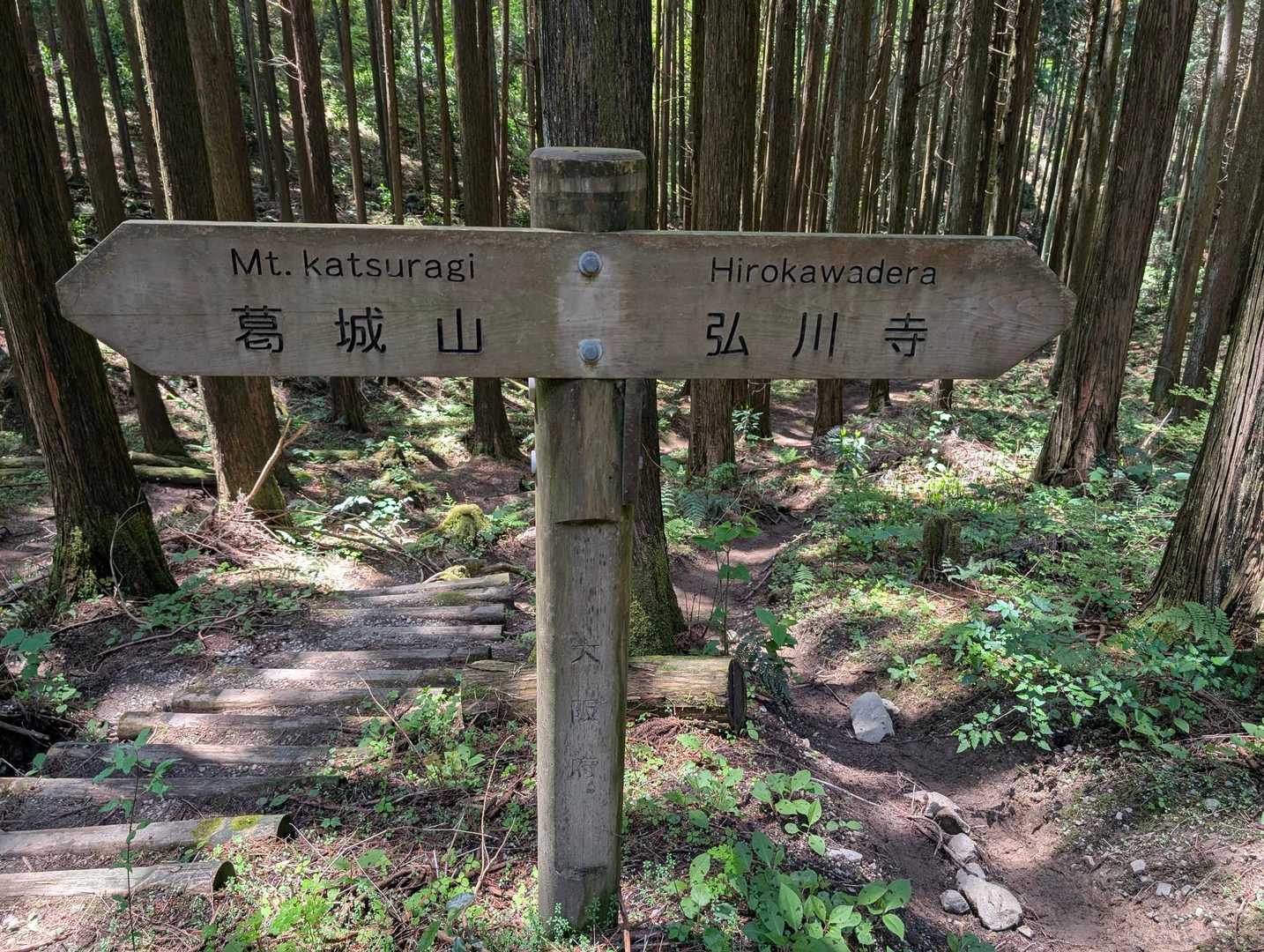 大和葛城山-水越峠 縦走コースの写真