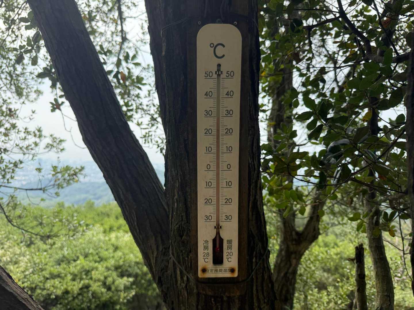 30℃
暑い🥵