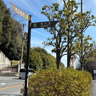 榁木峠に向かいます。