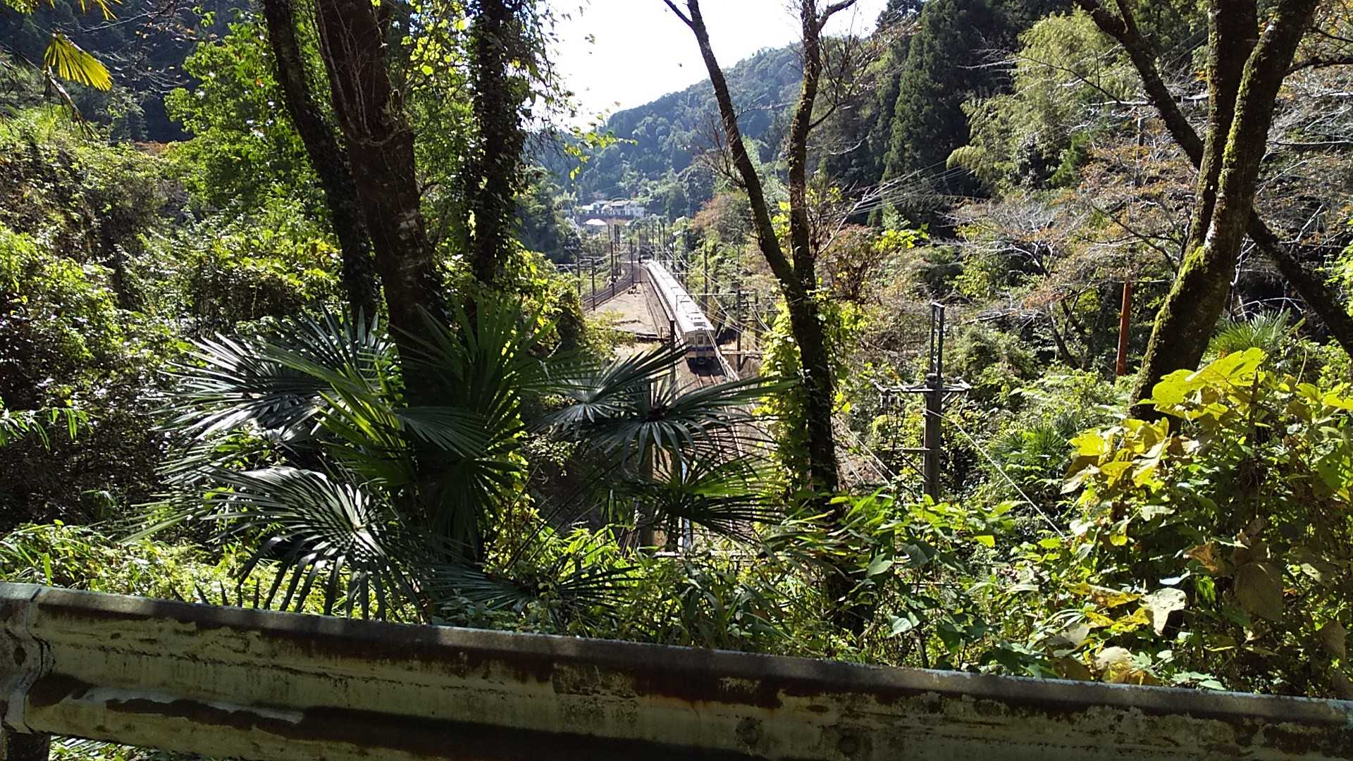 紀見トンネル上まで来ました。