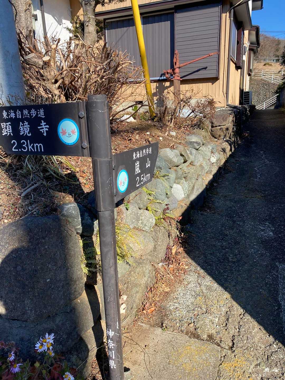 おっと😆　見落とすところだった。
突然左折の標識。