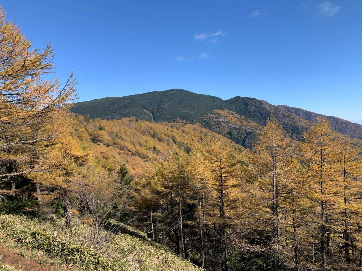 さっき下りてきた黒斑山
浅間山は見えないな