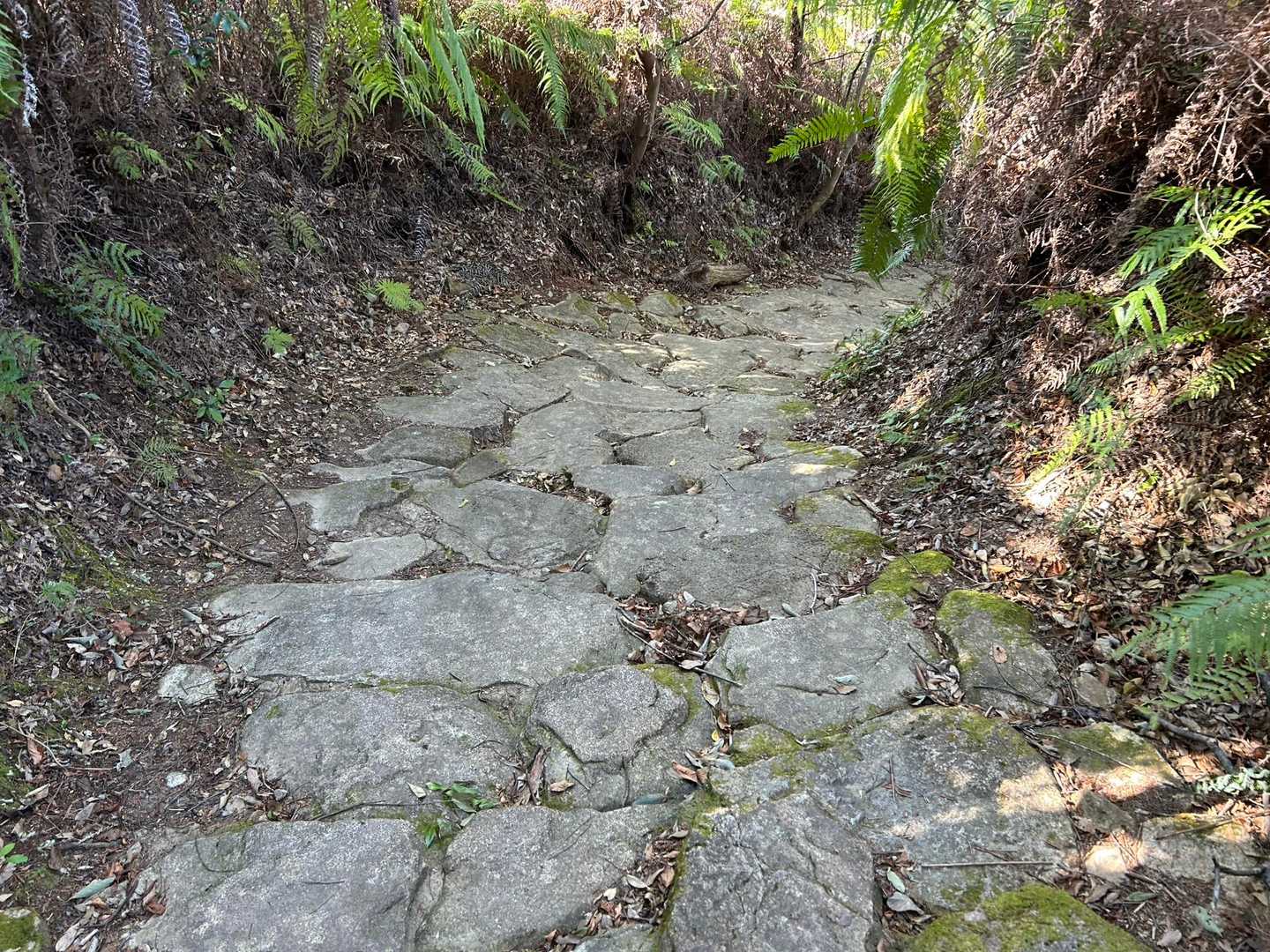 大岩の下より尾鷲市街地。