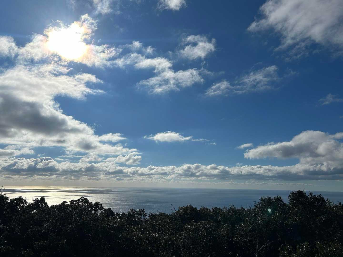 からの 景色✨
太平洋〜