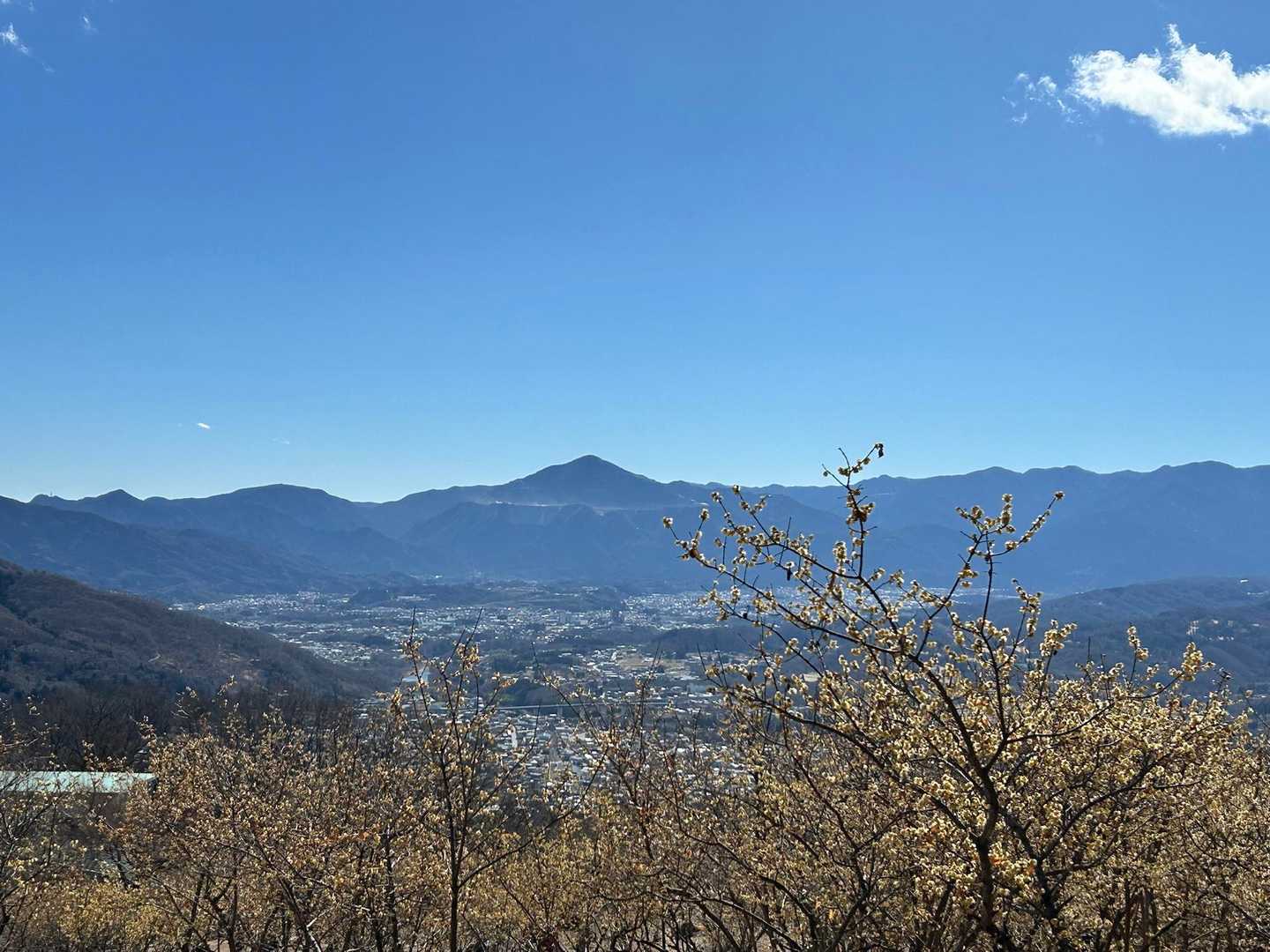 長瀞アルプス登山口-野上峠-小鳥峠-ナラ沢峠-宝登山北登山 往復コースの写真