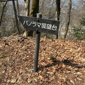 パノラマ展望台へ