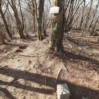 通り過ぎてしまいそうな小ピーク