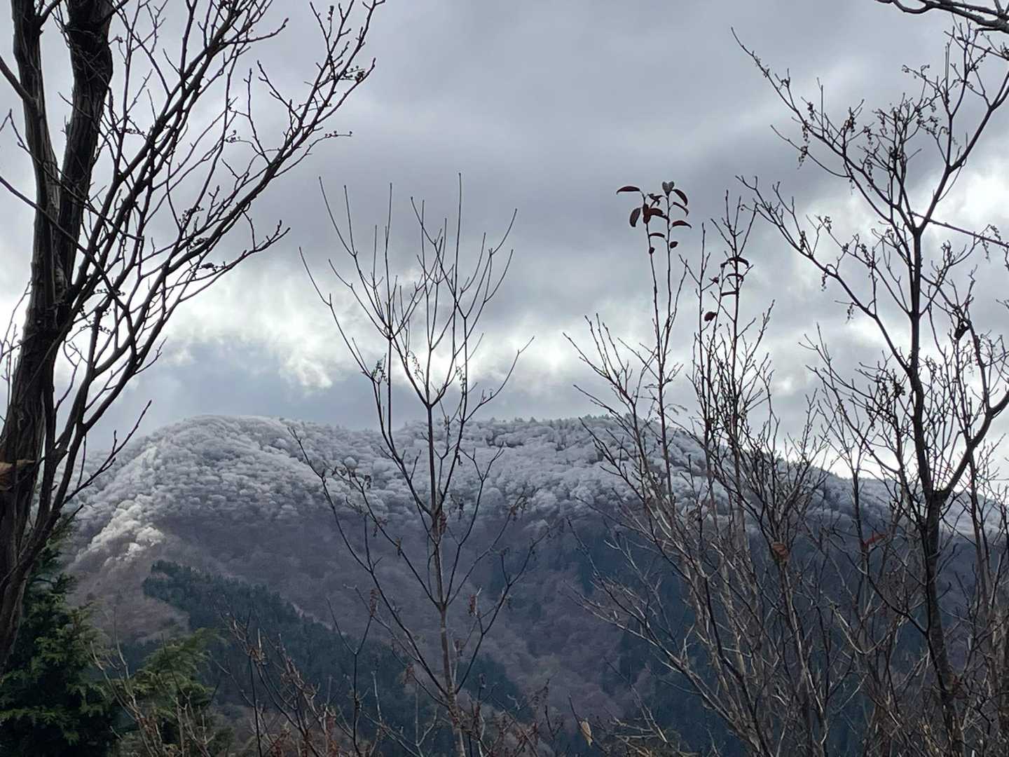 うわ〜☃️すごい🤩
