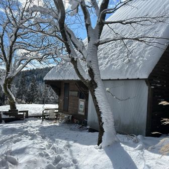 千町峠側に下山🚶‍♂️
ここから林道歩いて帰ります✨