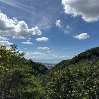 日陰の地獄谷をピストンで降りようか、と引き返しましたが、途中で中央稜の合流地点に変更して下山。9時台は、まだまだたくさんの方が登って来られていました。みなさん最高峰を目指されているのでしょうか。頑張って下さい！