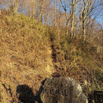 登山口に戻る
石碑側にはお助けロープもあり