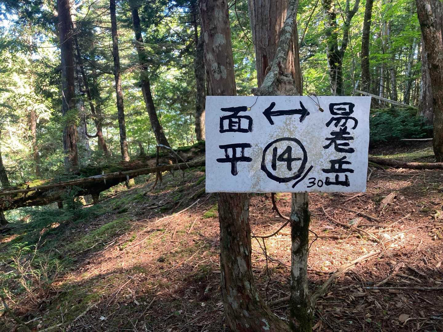 この標識のゴール30は光岳ではなく易老岳です
(￣▽￣)