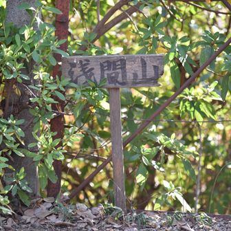 山頂

最後までご覧いただき
ありがとうございました😊