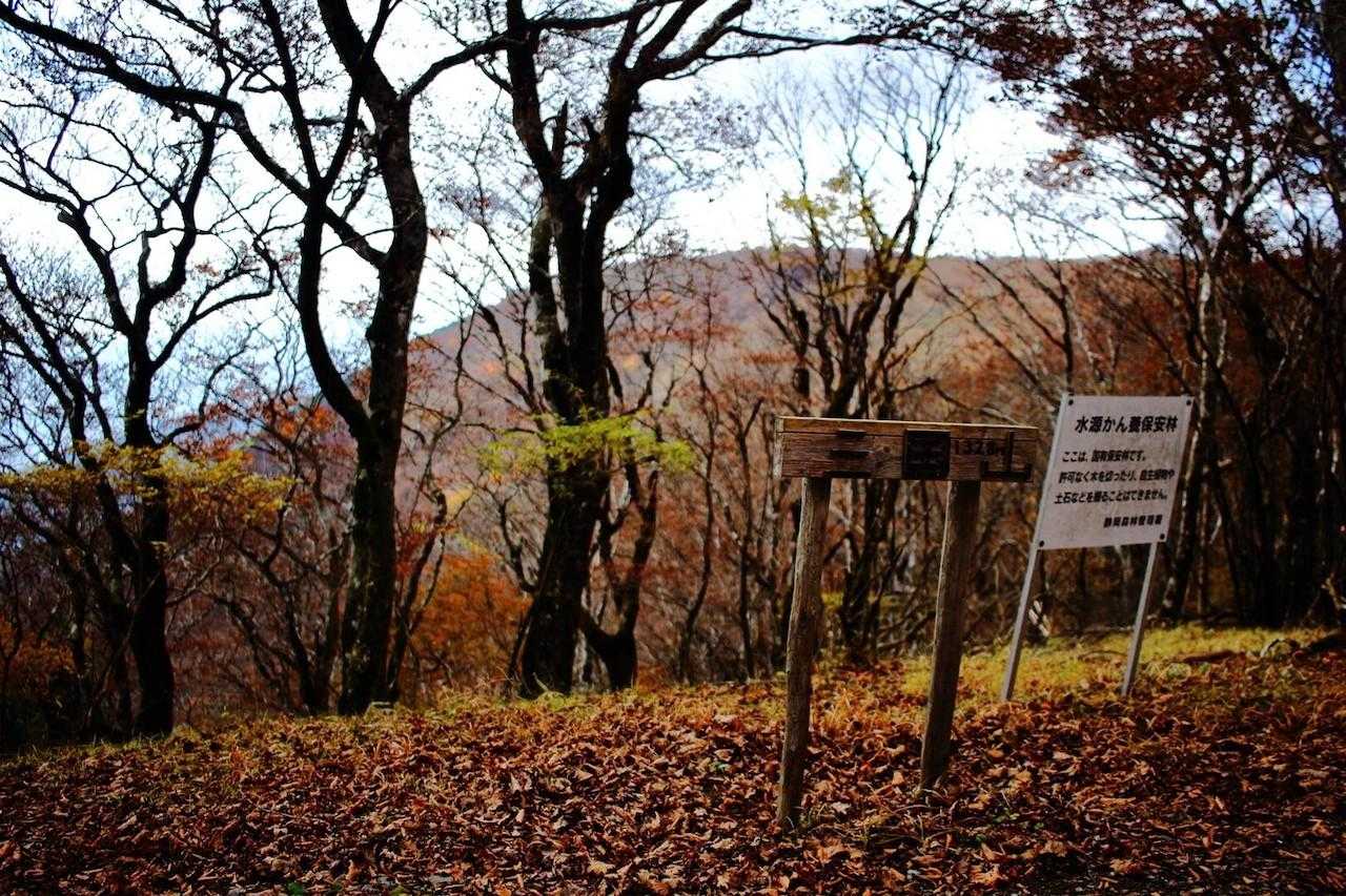 三国山の写真