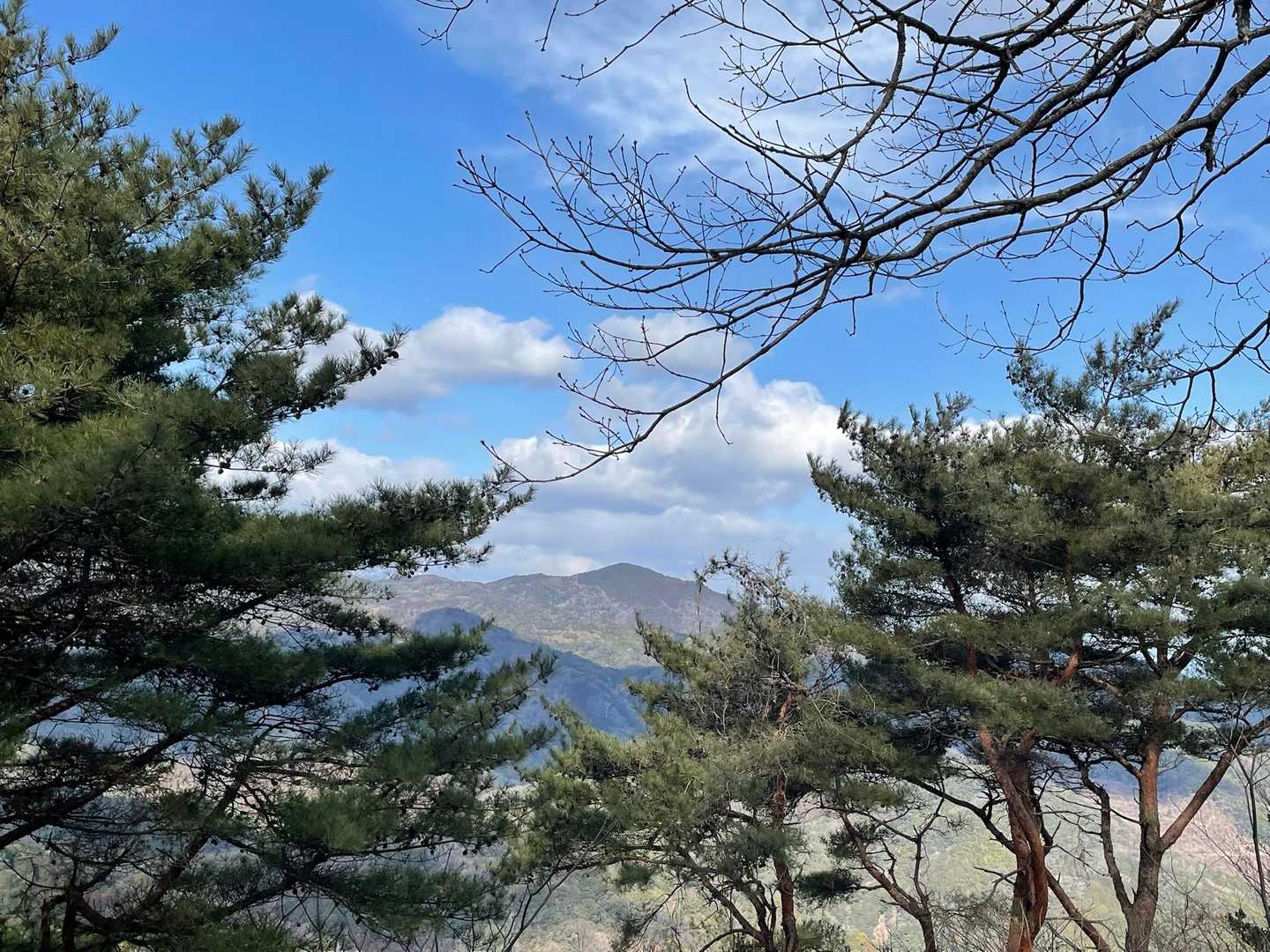松と松の間に本宮山