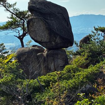 こんな岩🪨がゴロゴロ