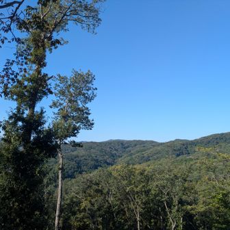 奥多摩方面の景色。