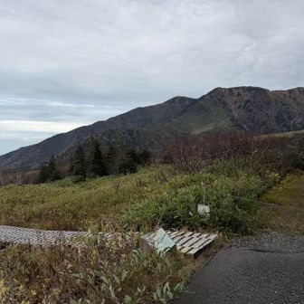 弥陀ヶ原に来た時は、ここは真っ白な雪原だったなぁ〜