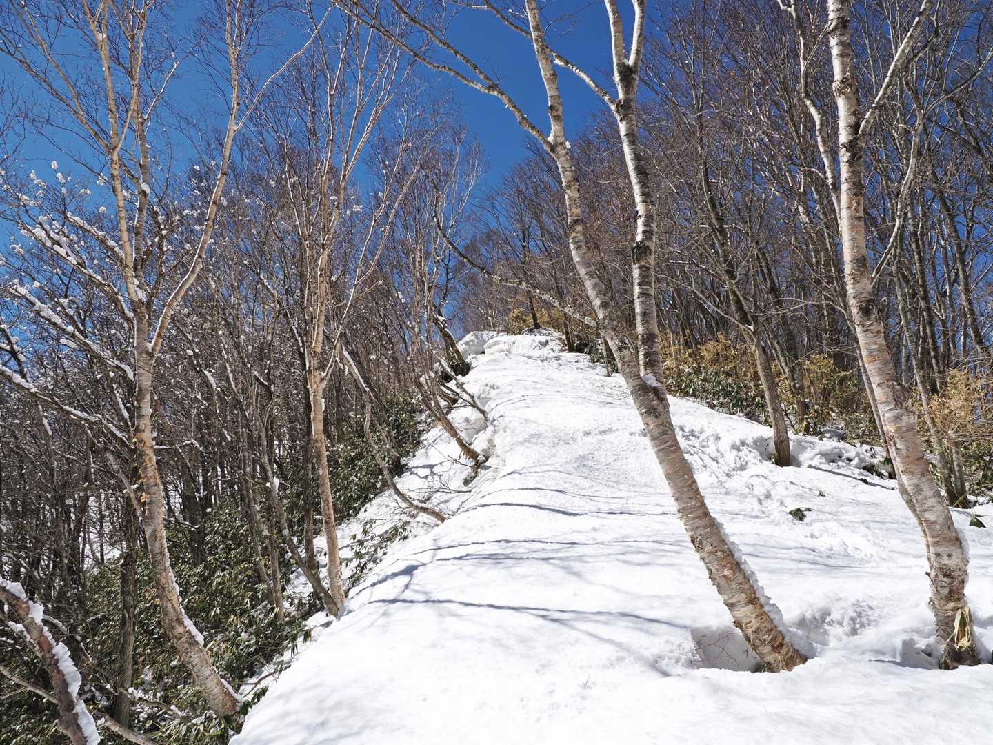 早い時間の下山なので踏み抜き地獄にならずに下山できた