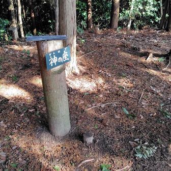 神の座山頂に到着