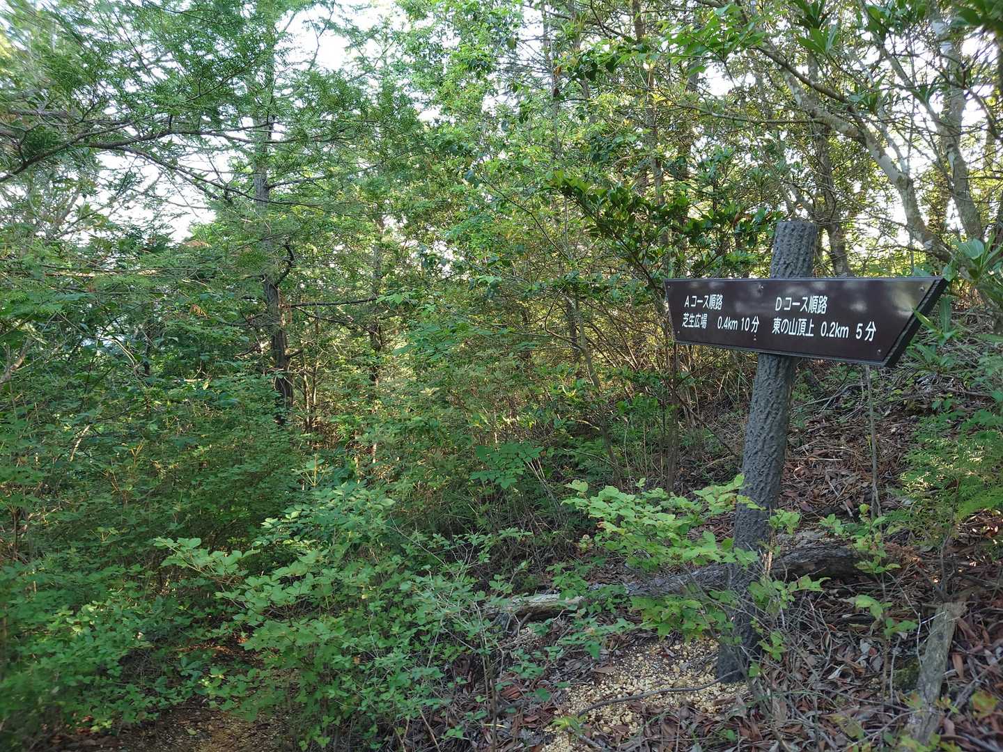 藤ノ木山登山口-藤ノ木山 周回コースの写真