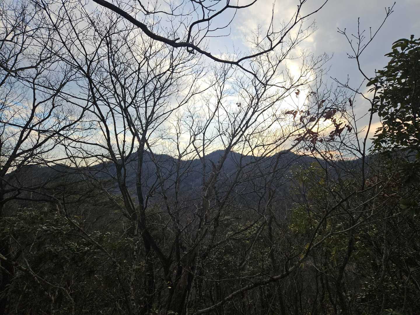 大小山を後ろから
山友は来ているのだろうか
