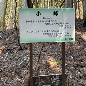 バイキングしか想像できひん😂