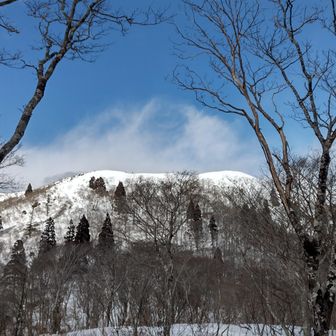 武奈ヶ岳が見える🥳