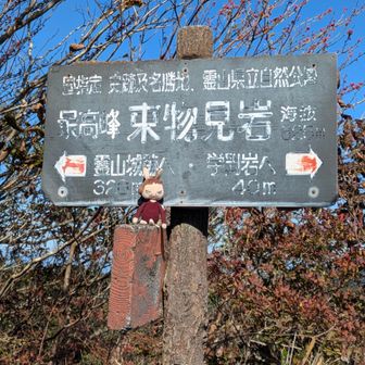 このまま、置き去りにしちゃったよ〜🙏