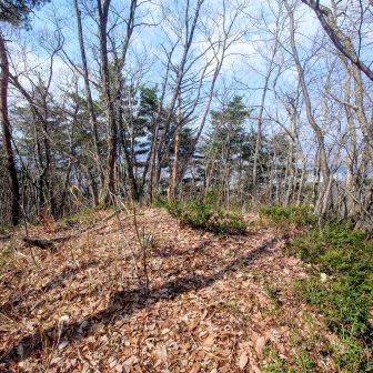 山頂はこんな感じ
苦労して登って👹
見晴らし20点かな🗿