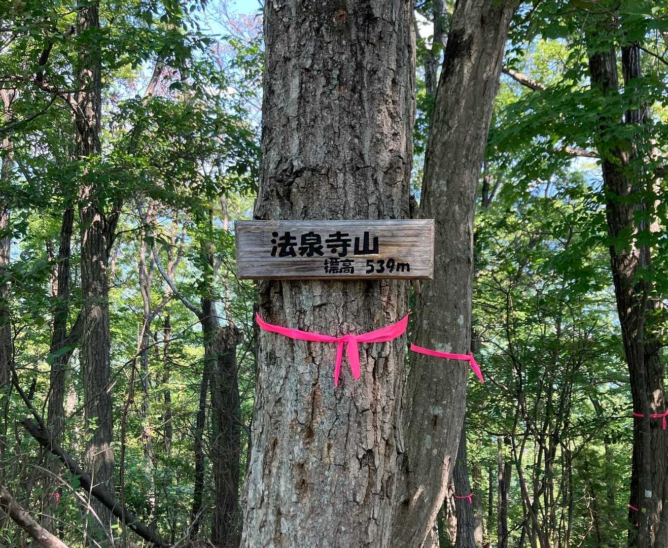 法泉寺山到着⛰️✨
眺望特になし💦